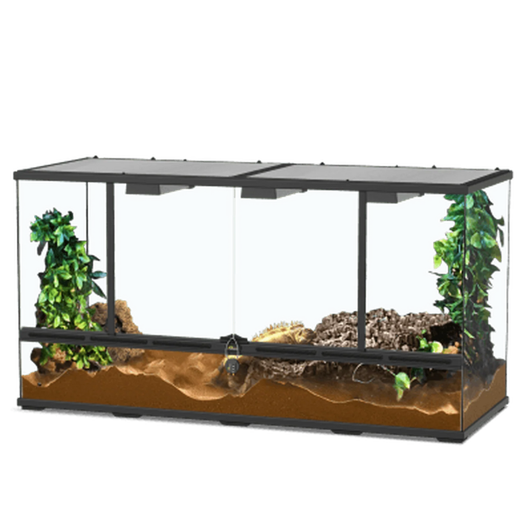 Glass Terrarium