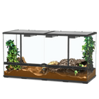 Glass Terrarium