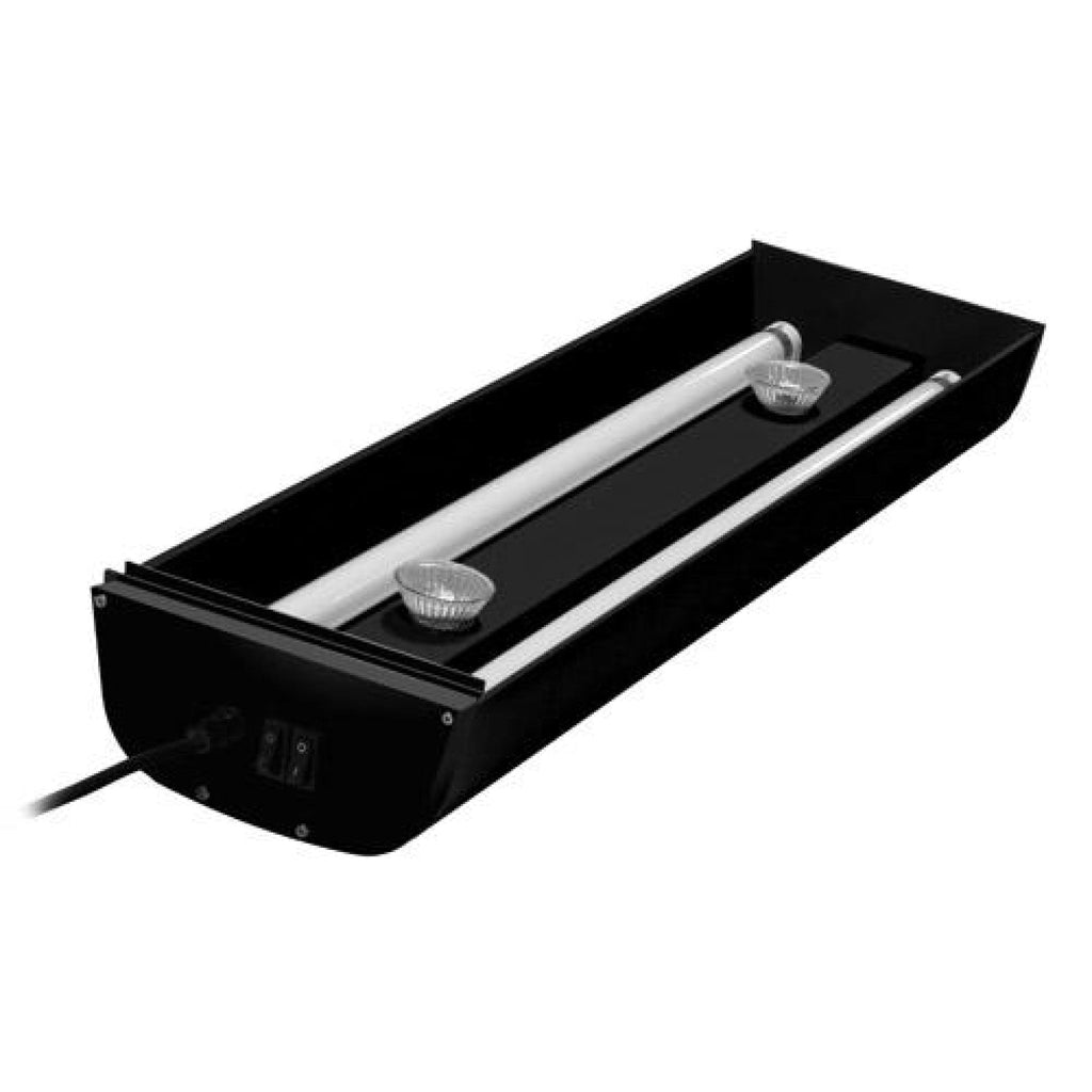 Dual Light Lighting System
