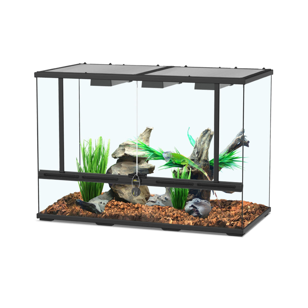 Glass Terrarium