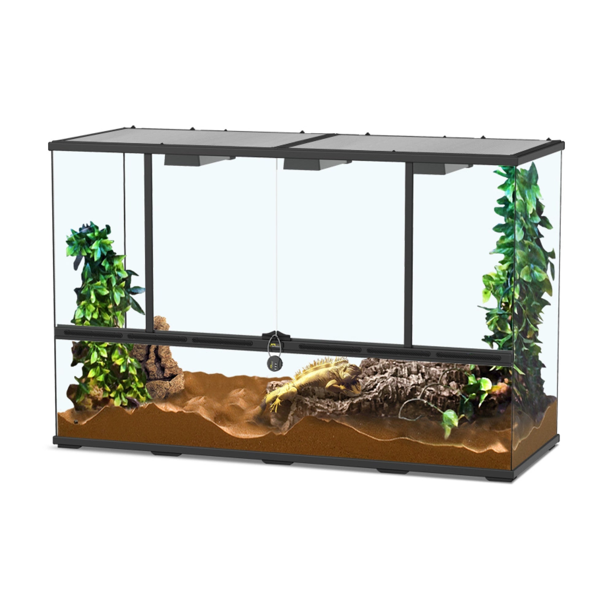 Glass Terrarium