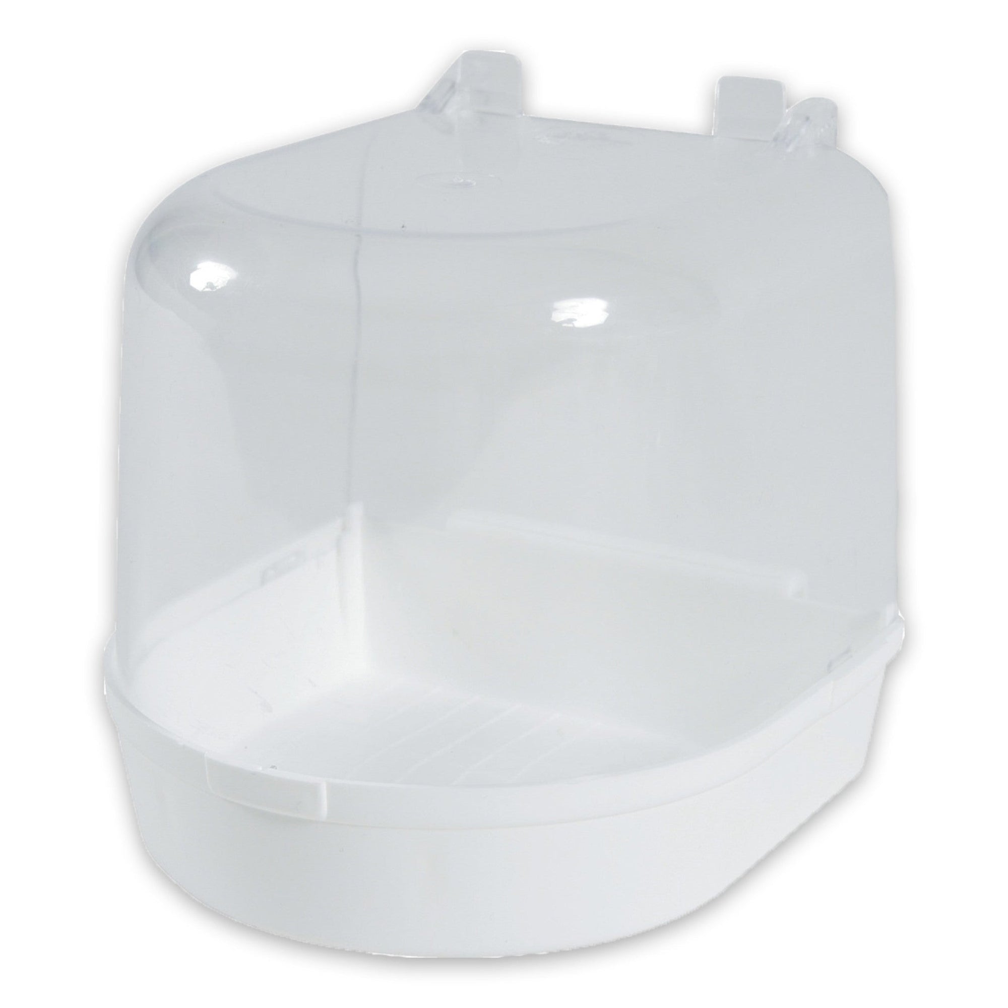 Bird Bath Outdoor Curved