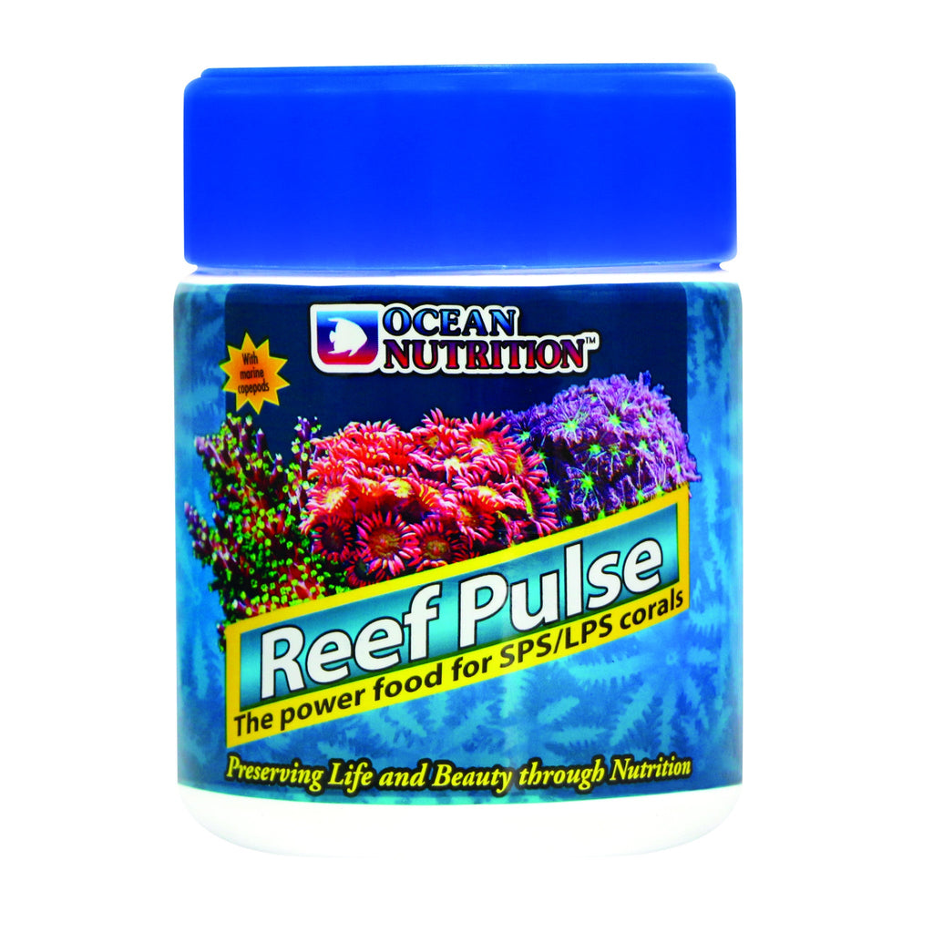 Reef Pulse