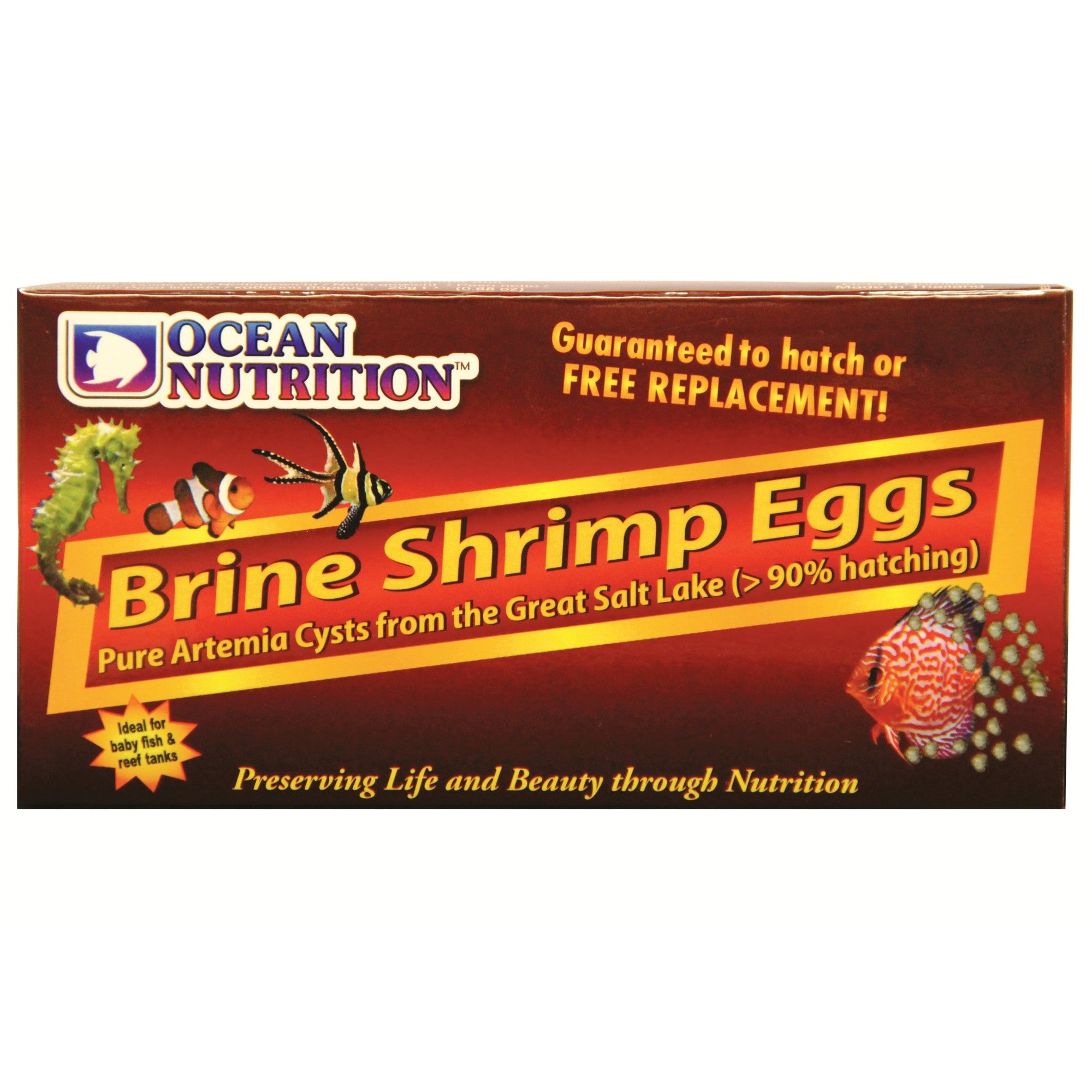 Brine Shrimp Eggs 20 g