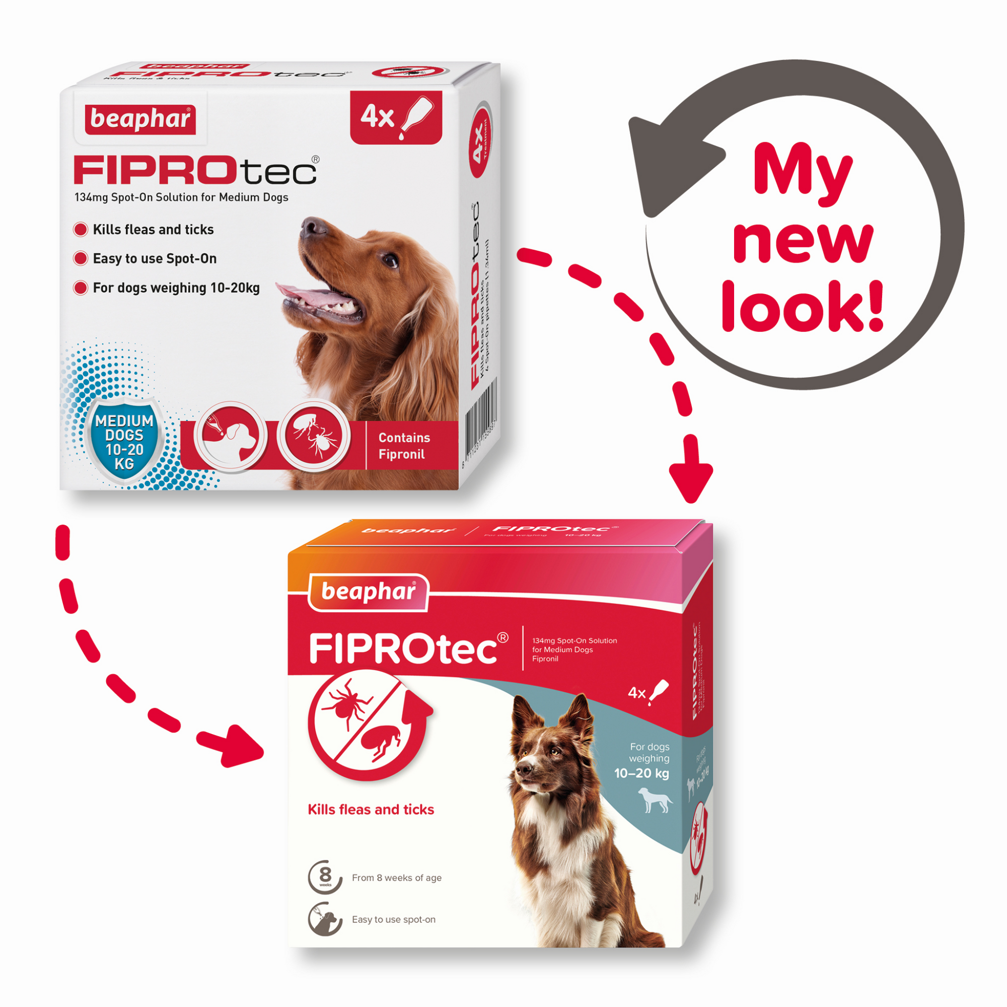 Fiprotec for Medium Dog, 4 Pipettes