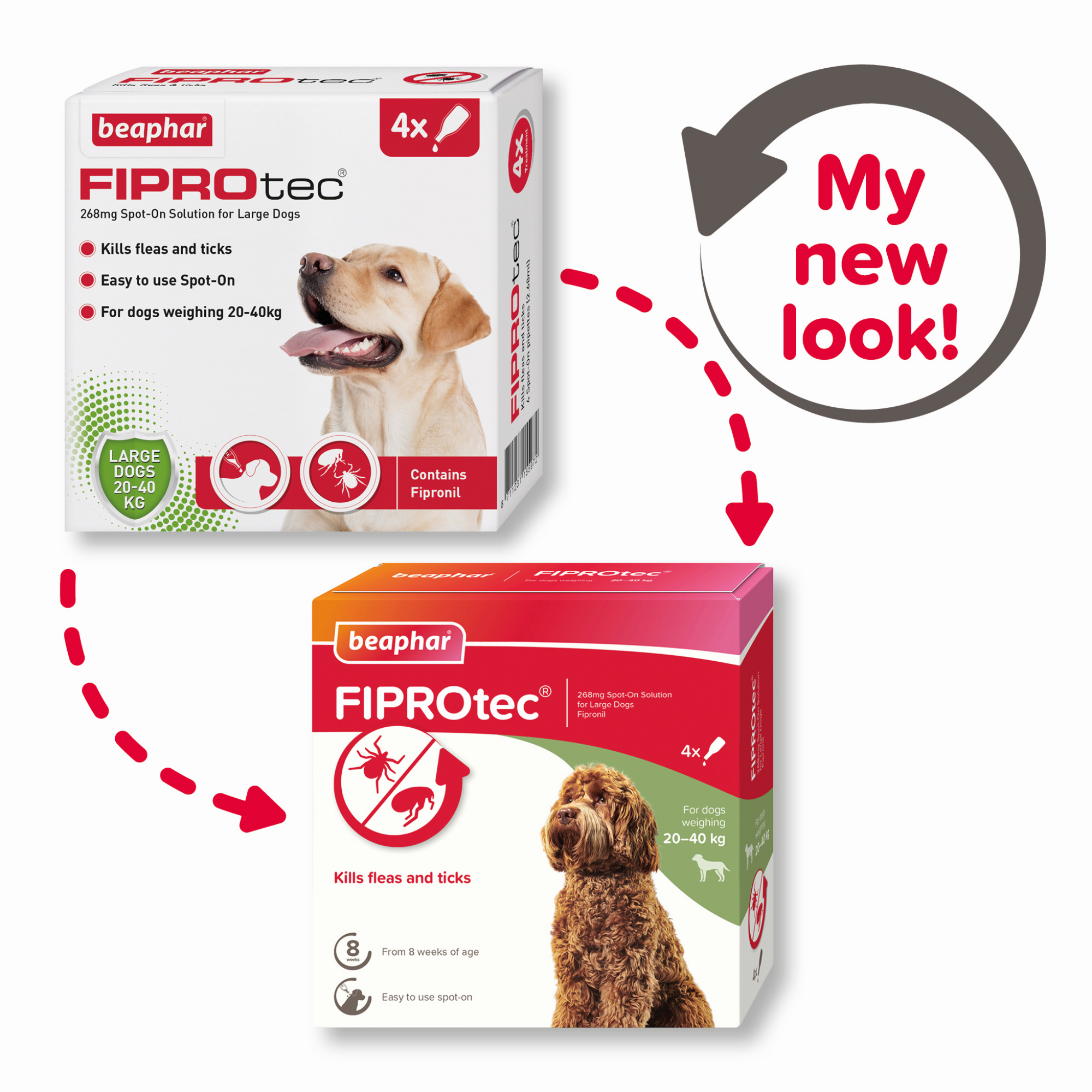 Fiprotec for Large Dog, 4 Pipettes
