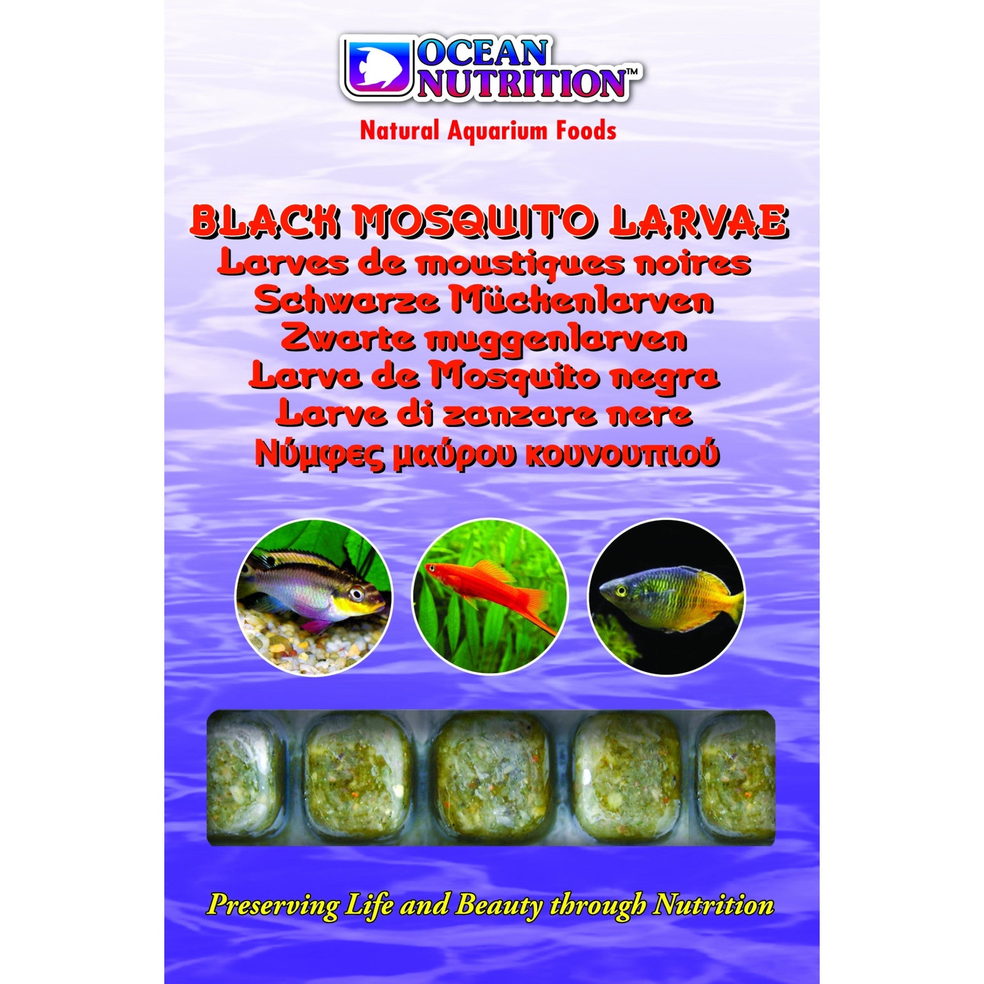 Black Mosquito Larvae 100 g