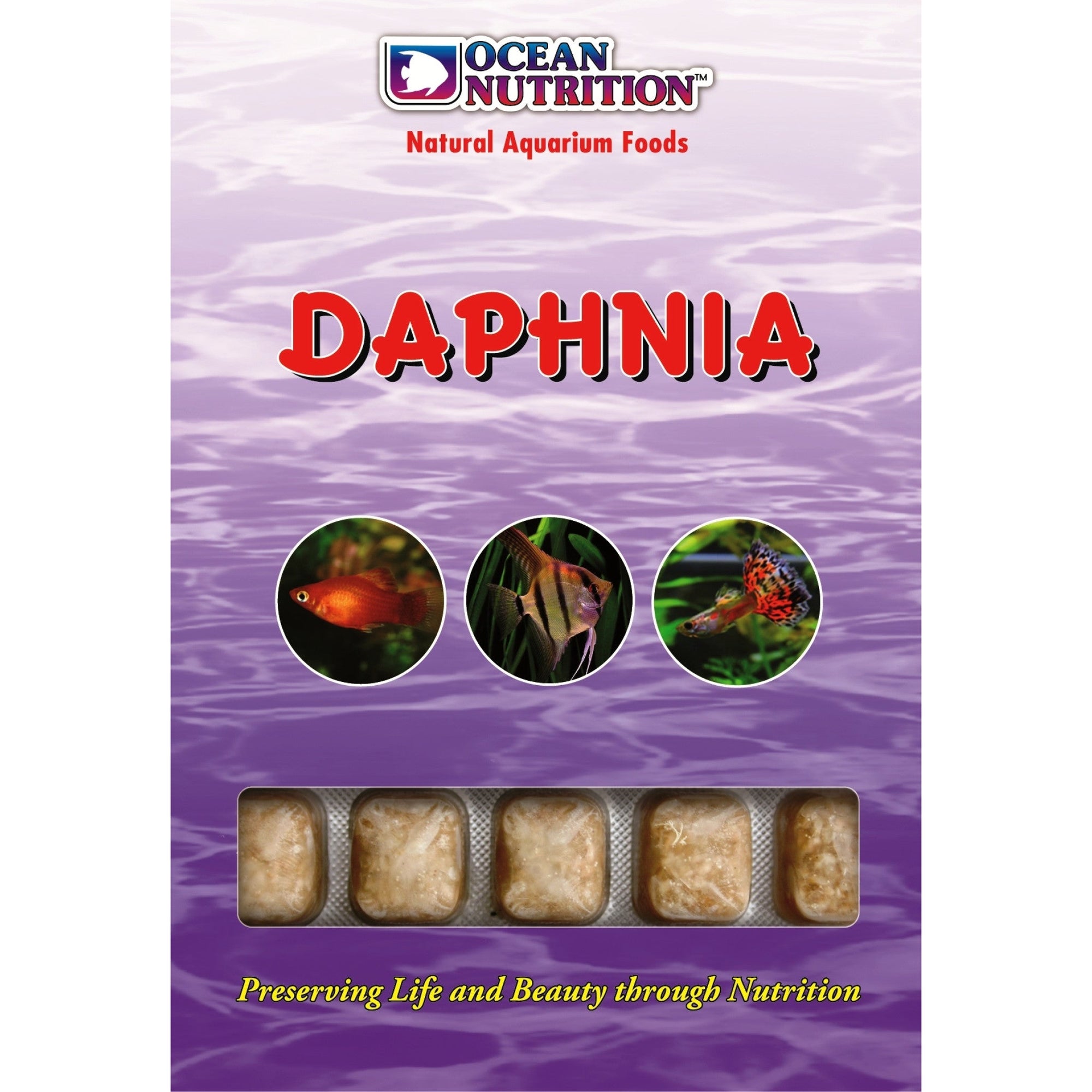 Daphnia 100 g