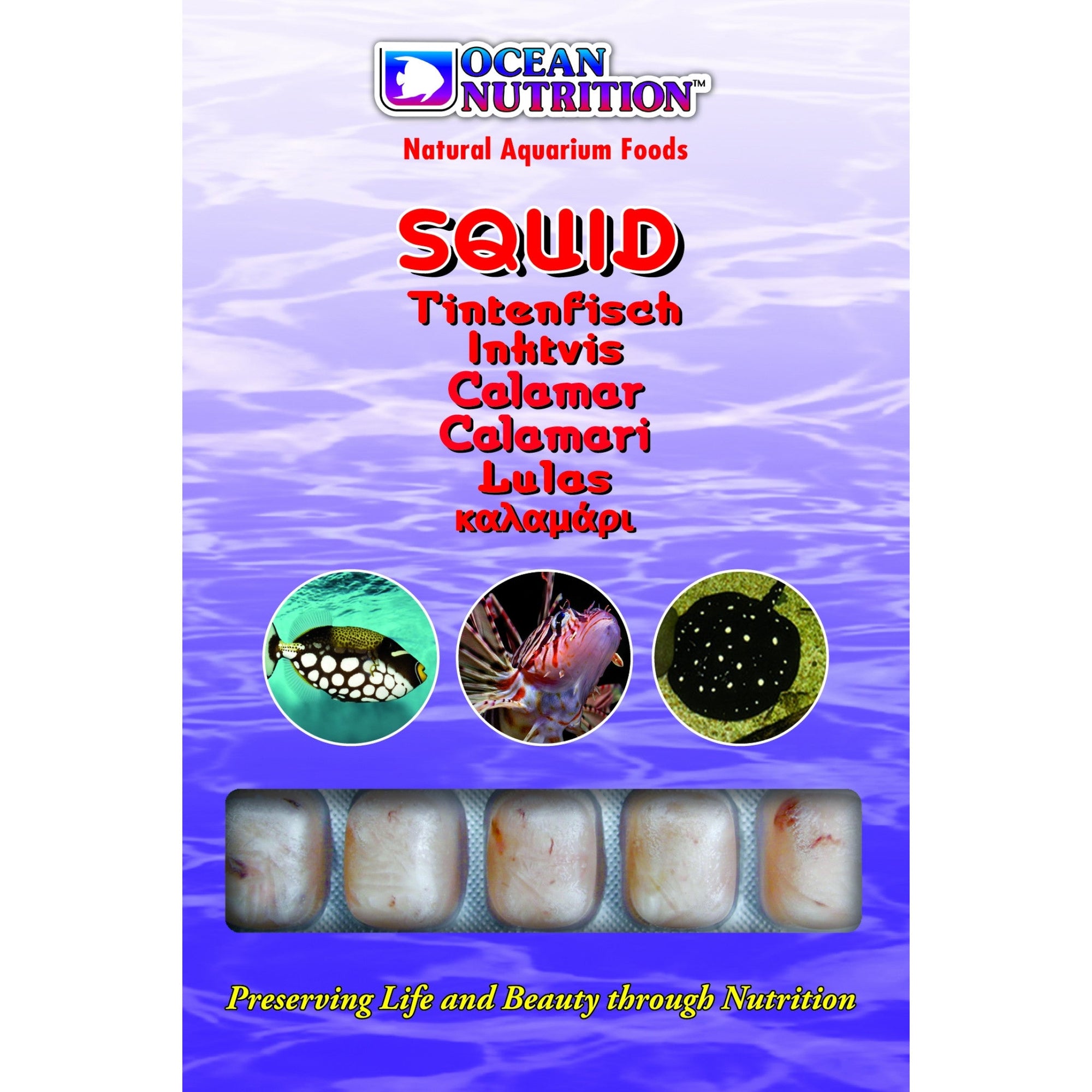 Squid 100 g