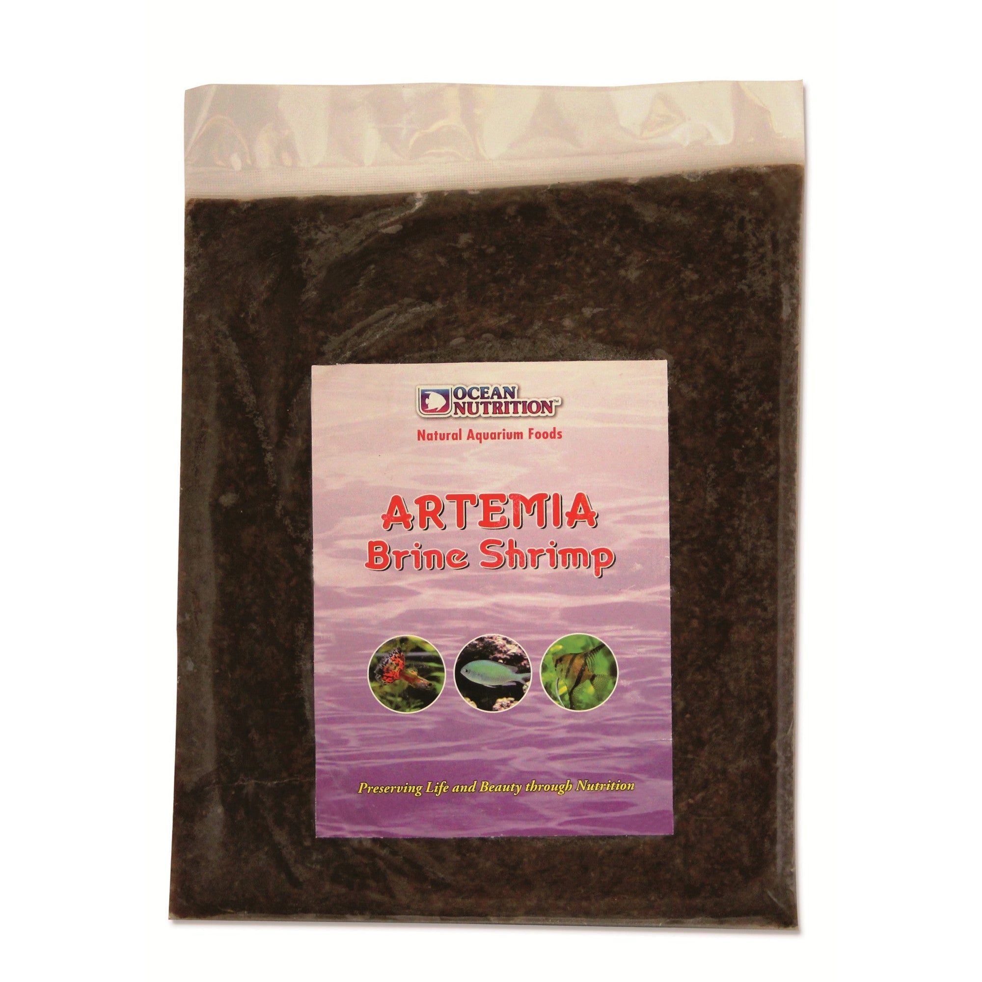 Artemia Brine Shrimp Flatpack