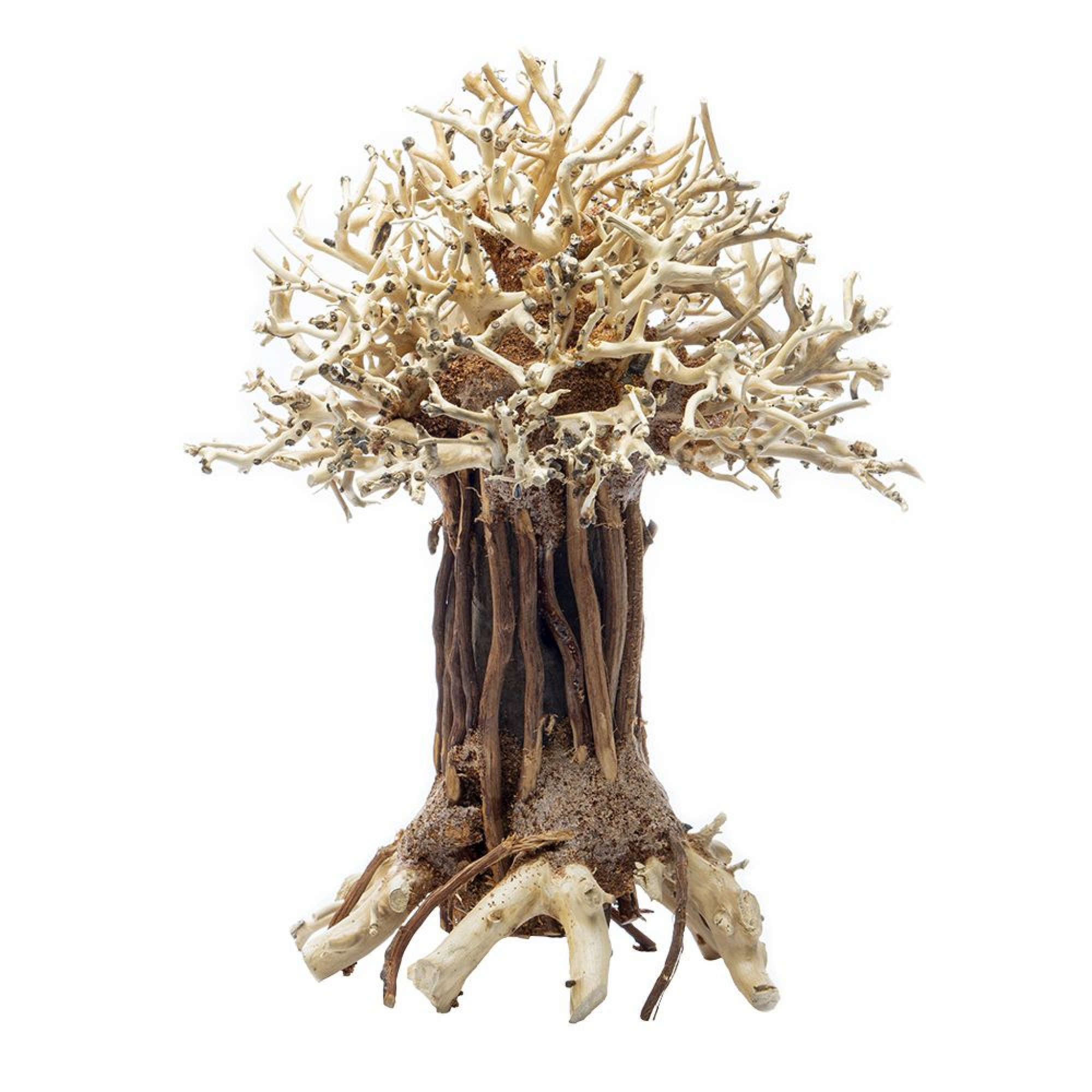 Pagoda Bonsai Wood Medium, 15x20x12 cm / box