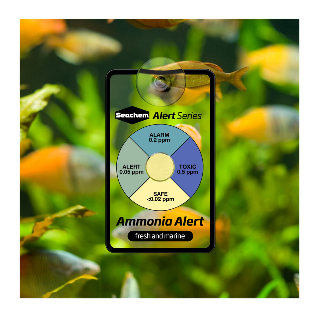 Alerts Combo Pack 6 Month