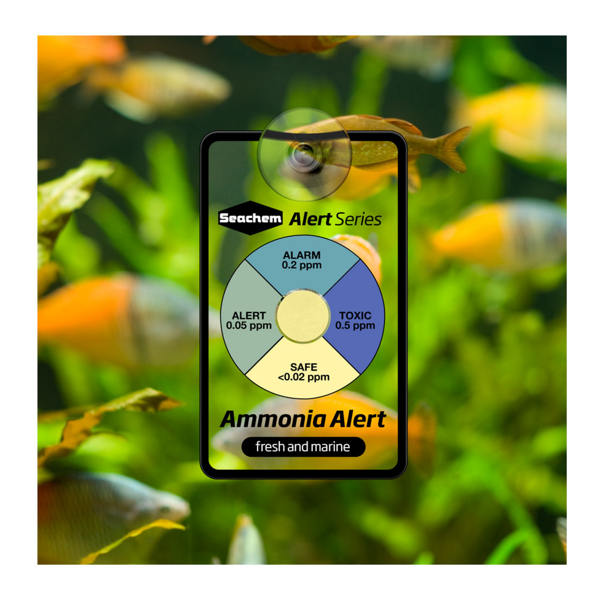 Alerts Combo Pack 6 Month