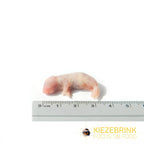 Mouse Pinks 1-4 g, 1 kg pack - Zero Waste