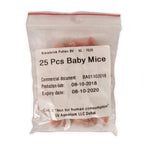 Mouse Pups 2g Eco Pack 25 pcs