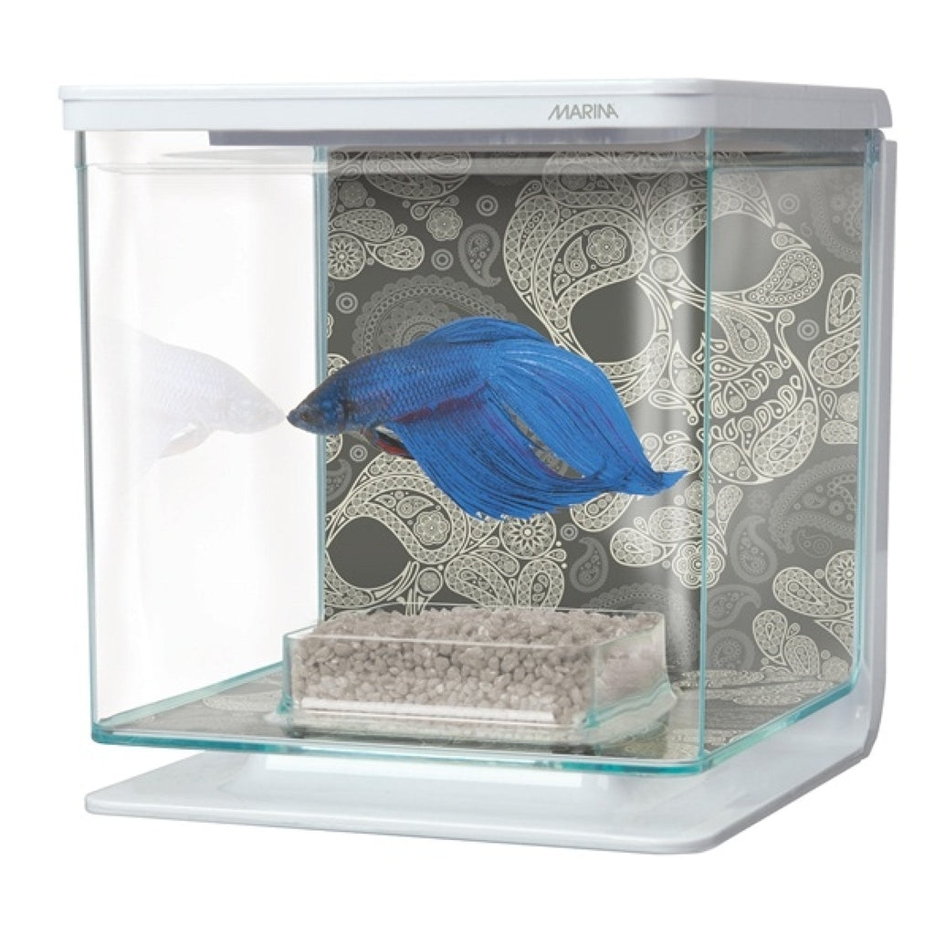 Marina Betta Kit Skull 2 L