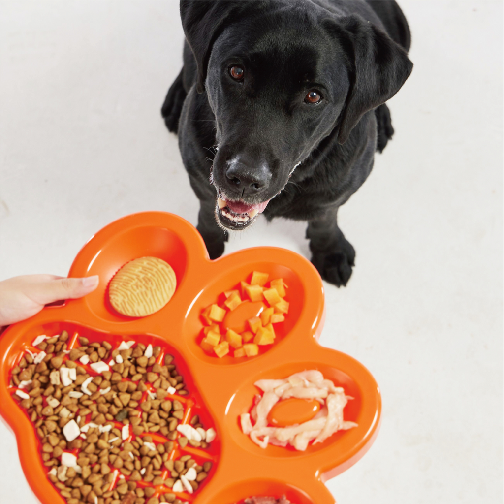 PetDreamHouse PAW Slow Feeder Orange