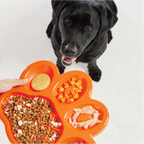 PetDreamHouse PAW Slow Feeder Orange