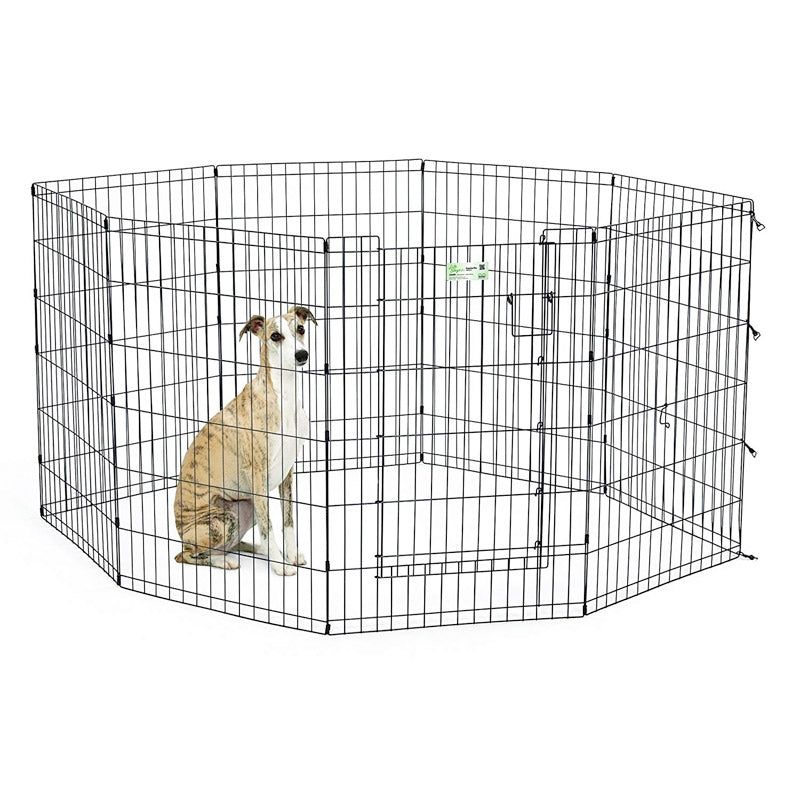 MidWest 36 inch black exercise pen with full MAX Lock door