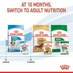 Size Health Nutrition Mini Puppy (Wet Food - Pouches) 12 x 85 g
