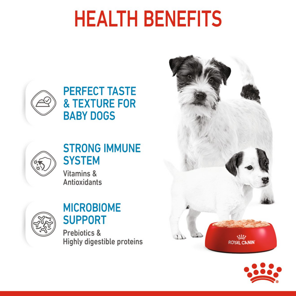 Canine Health Nutrition Starter Mousse (Wet Food - Cans) 12 x 195 g
