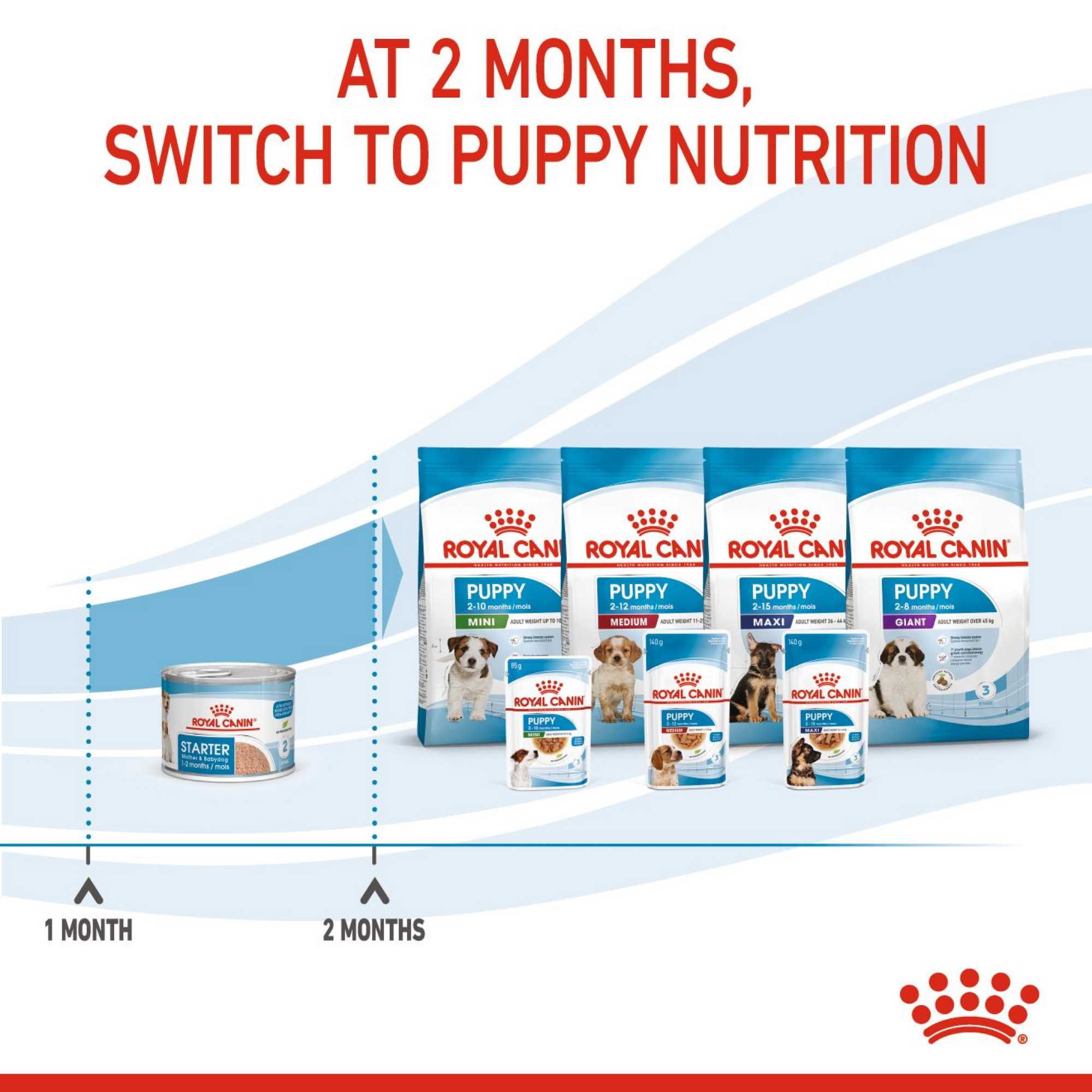 Canine Health Nutrition Starter Mousse (Wet Food - Cans) 12 x 195 g