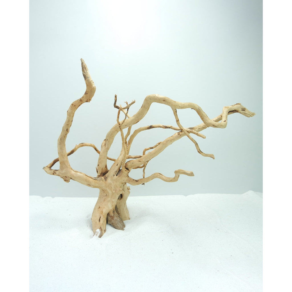 Wood Root 2XLarge, 60-80 cm / pc