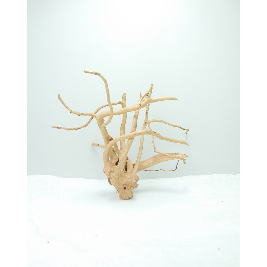 Wood Root Small, 21-30 cm / box
