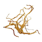 Wood Root Medium, 31-40 cm / box