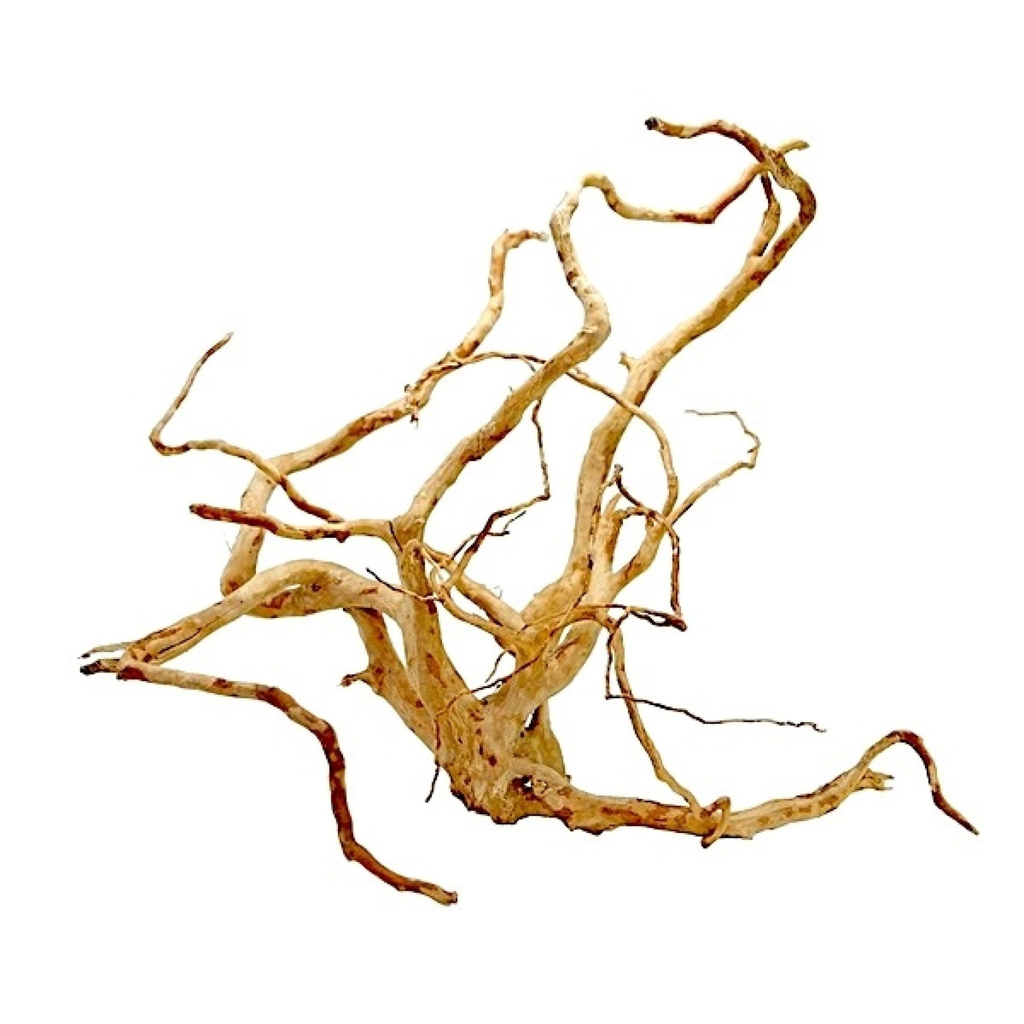 Wood Root Medium, 31-40 cm / box
