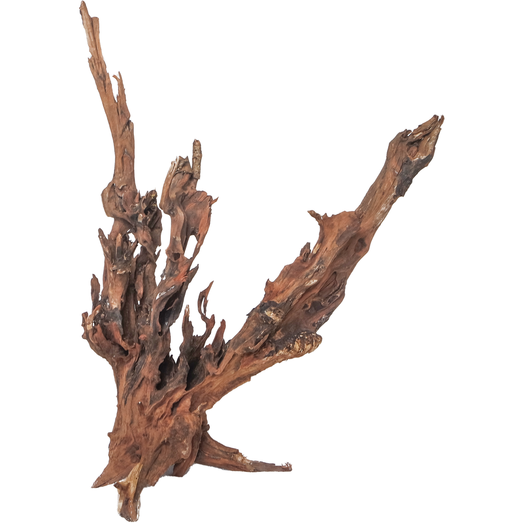 Drift Wood XLarge, 50-80 cm / pc