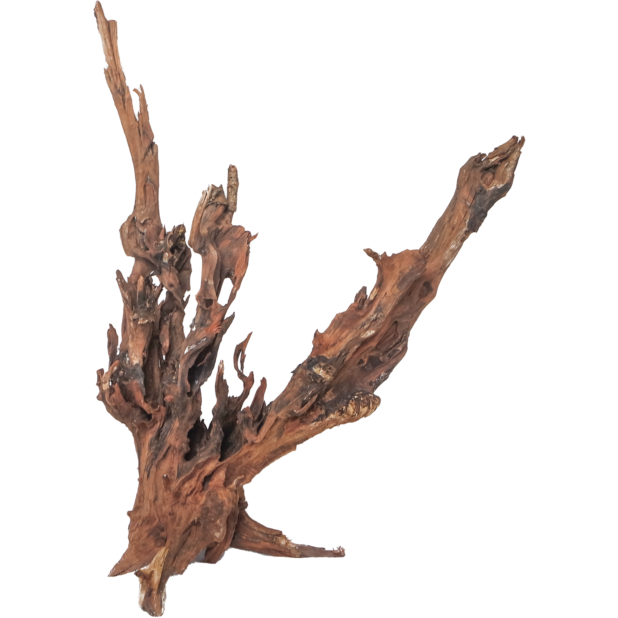 Drift Wood XLarge, 50-80 cm / pc