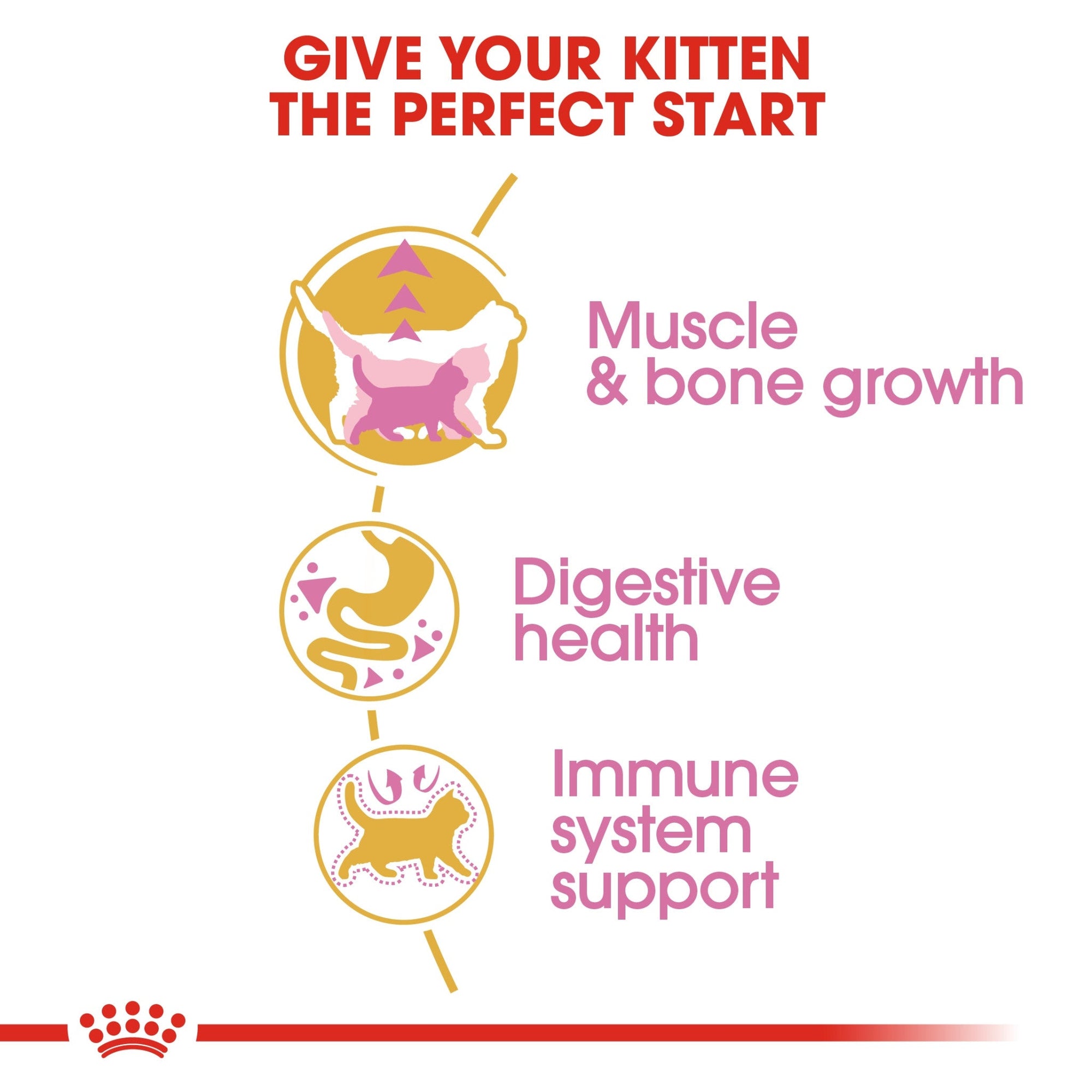 Feline Breed Nutrition British Shorthair Kitten 2 kg