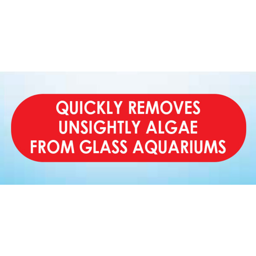 API Algae Pad For Glass Aquariums