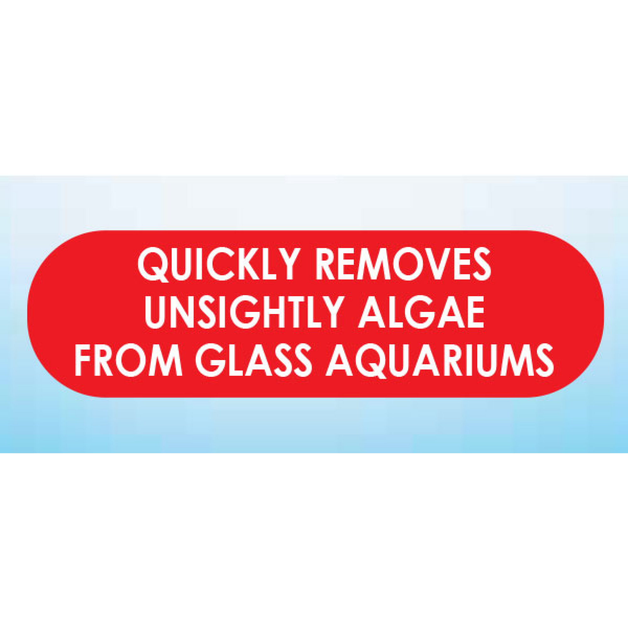 API Algae Pad For Glass Aquariums