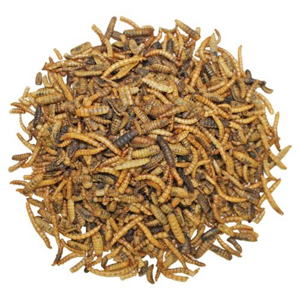 EZ-Worms 1.41 oz