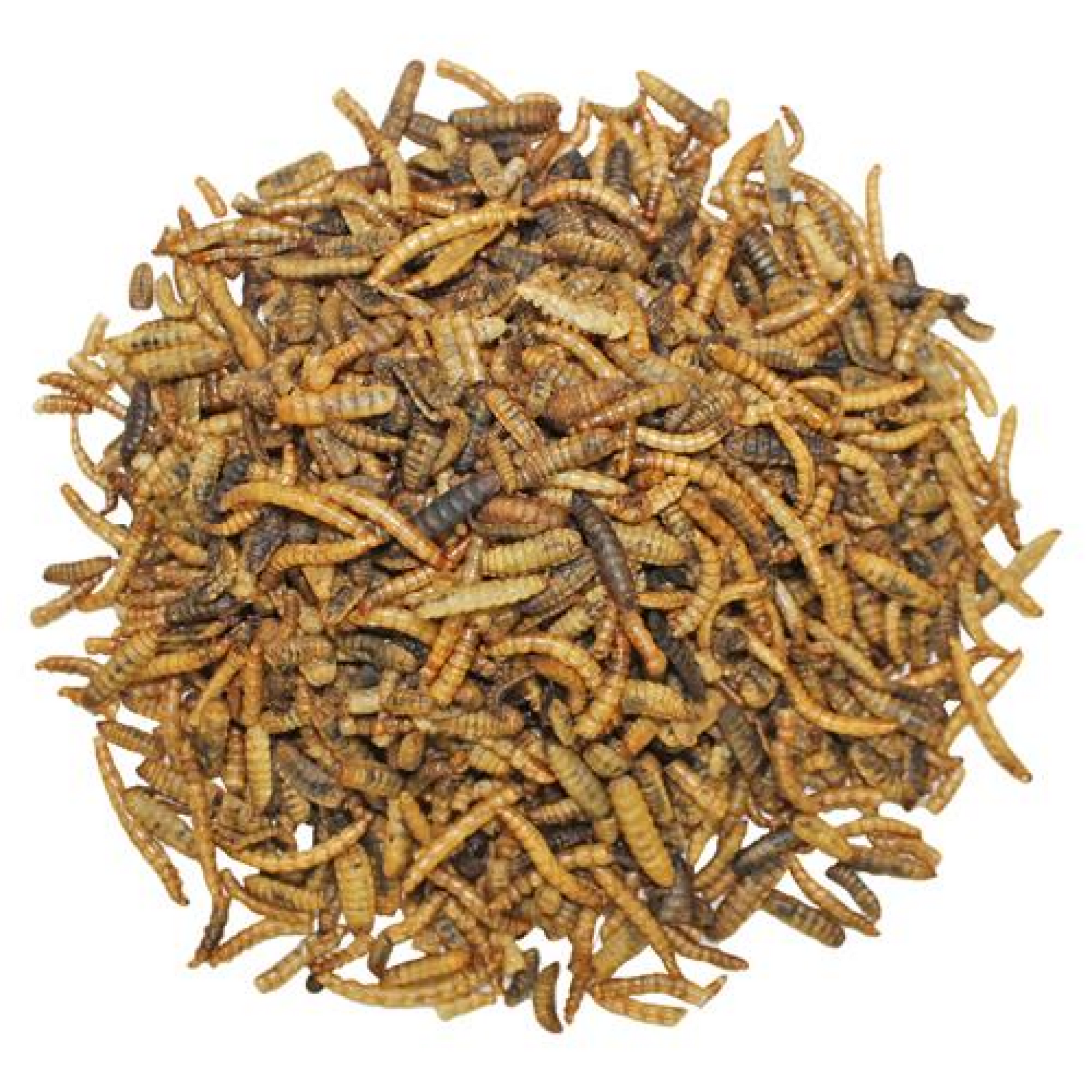 EZ-Worms 1.41 oz