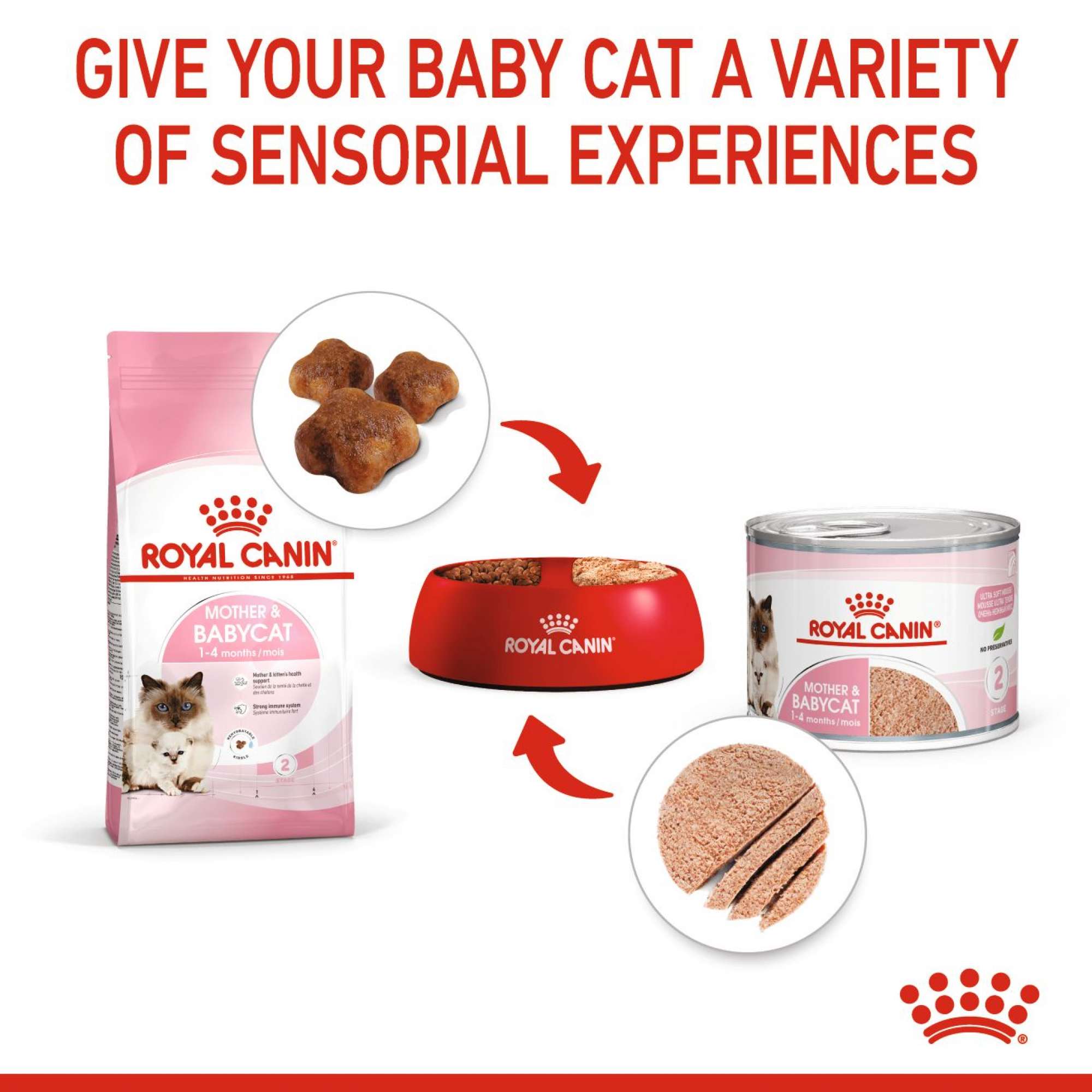 Feline Health Nutrition Mother & Babycat Mousse (Wet Food - Cans) 12 x 195 g