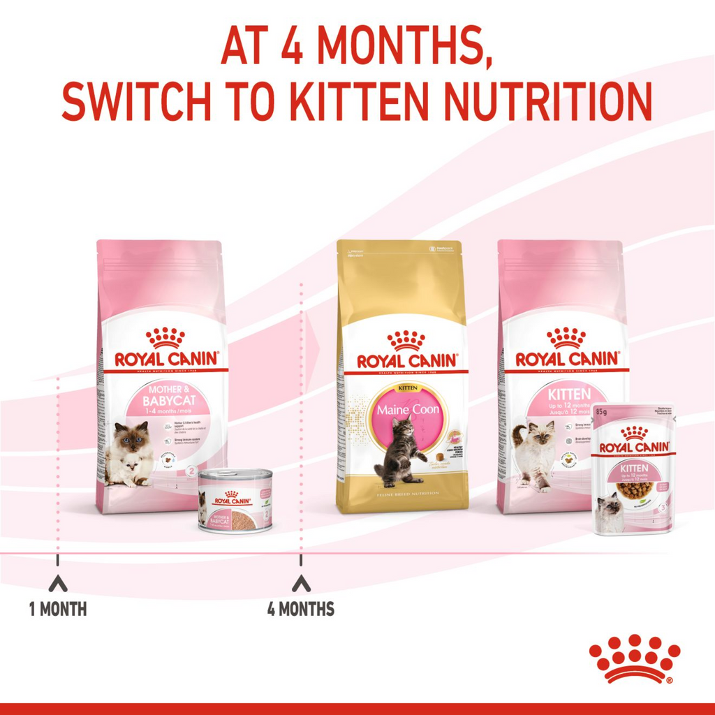 Feline Health Nutrition Mother & Babycat Mousse (Wet Food - Cans) 12 x 195 g