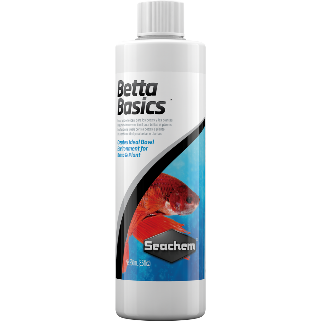 Betta Basics
