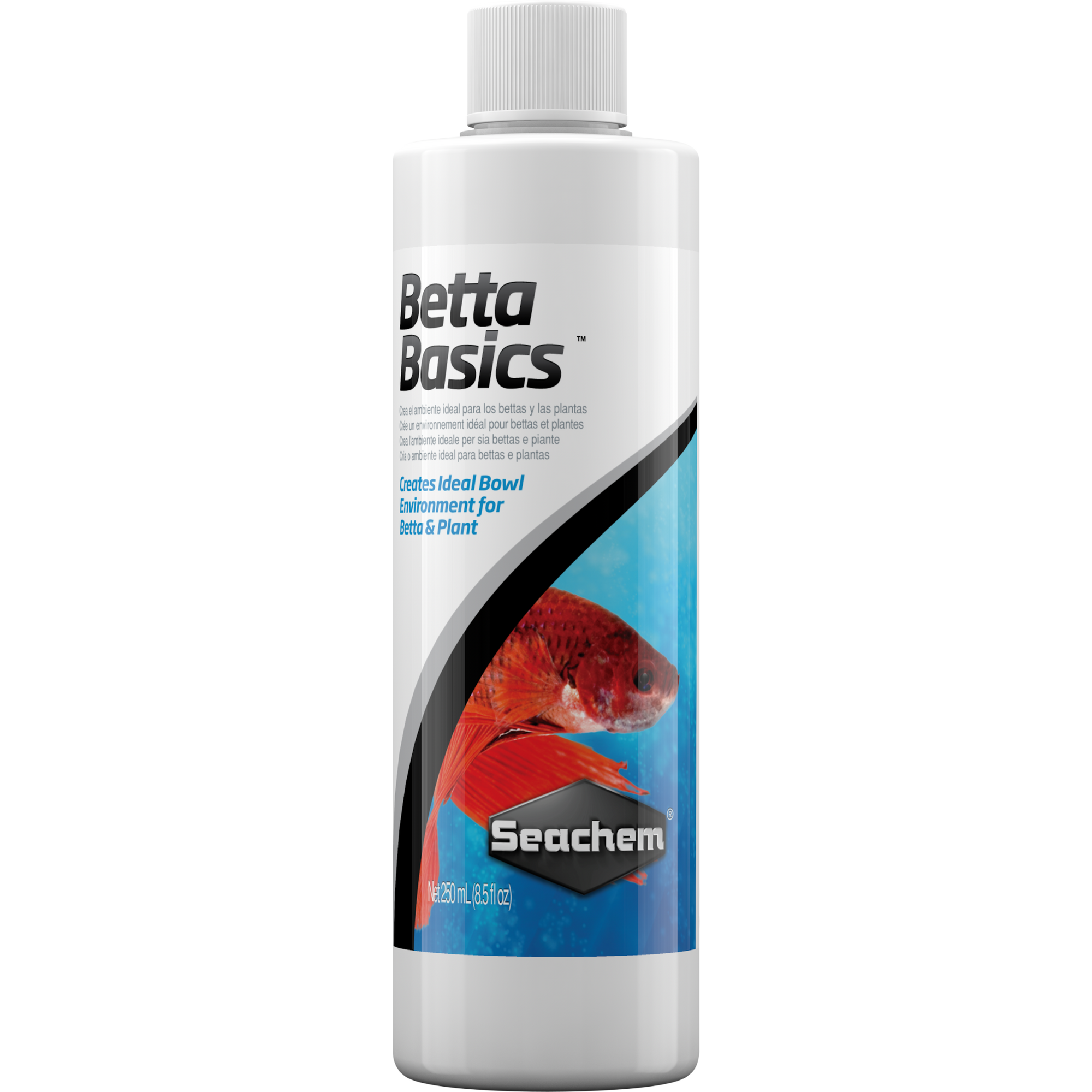 Betta Basics