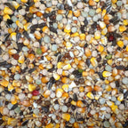 4-Season 20 kg