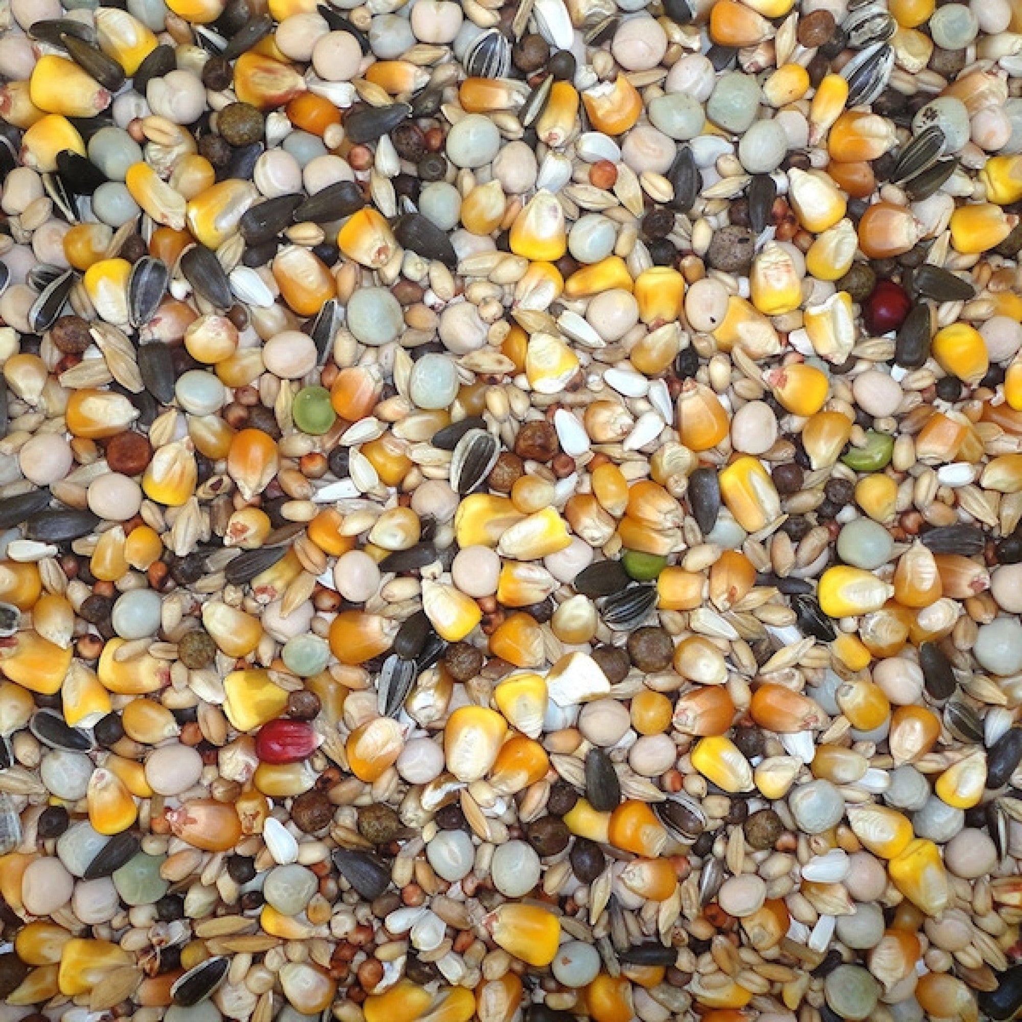 4-Season 20 kg