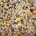 4-Season 20 kg