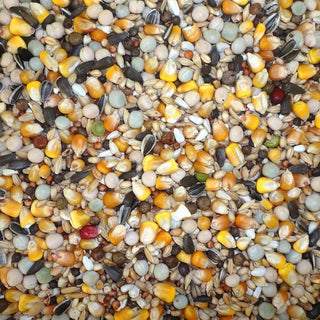 4-Season 20 kg
