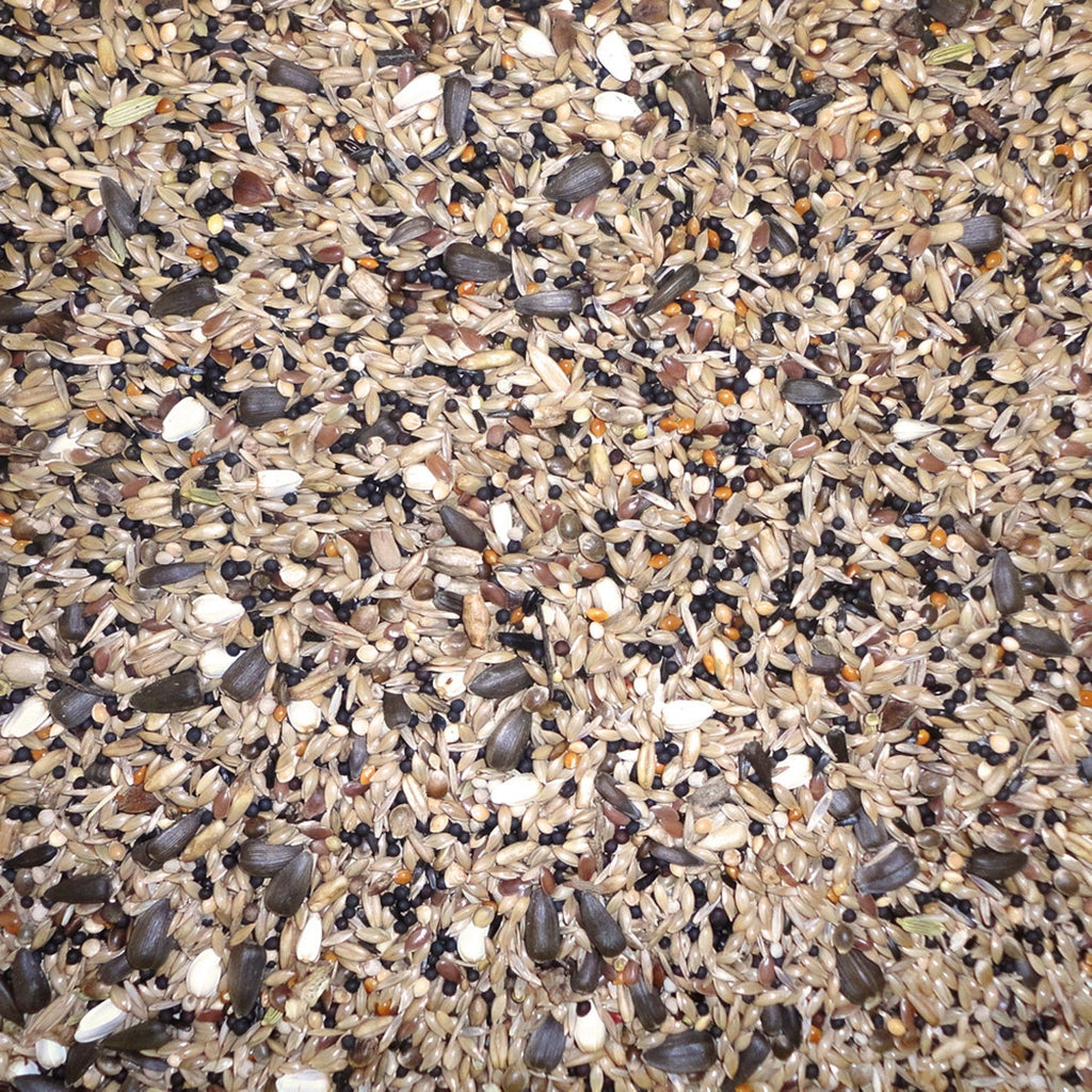Wild Bird Mix 20 kg