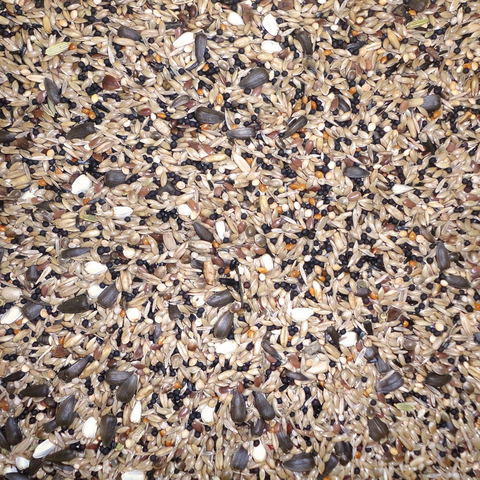 Wild Bird Mix 20 kg