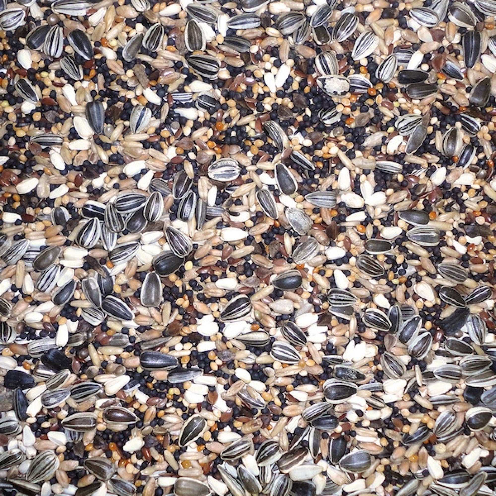 Finch Mix 20 kg