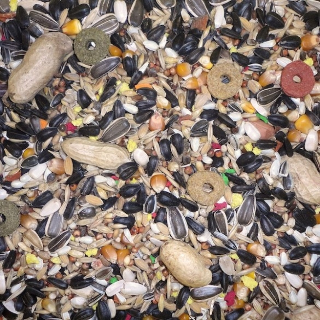 Parrot Food 15 kg