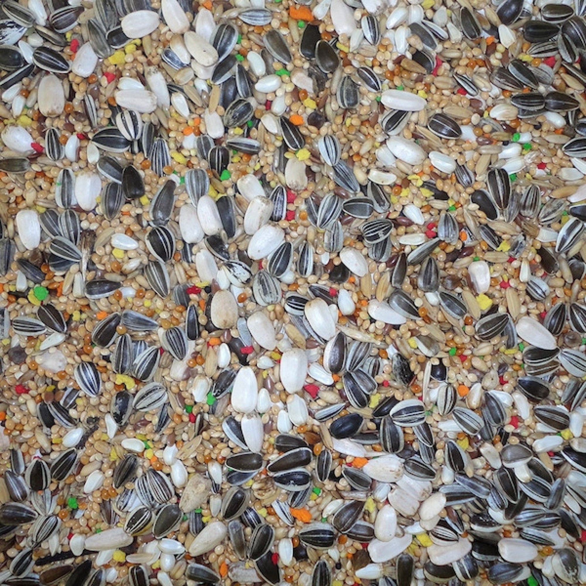 Parakeet Budget Mix 20 kg